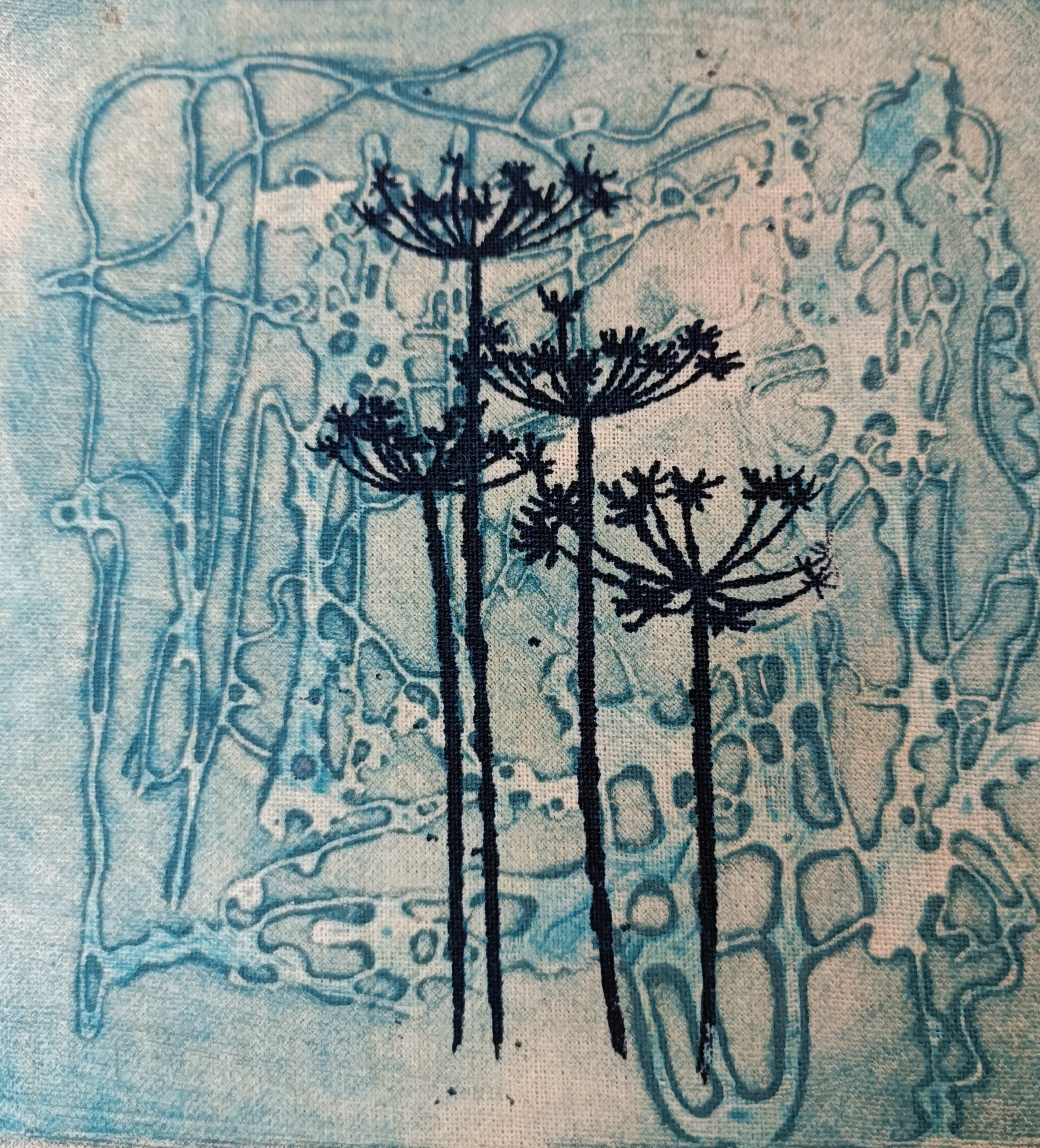 ‘Cow Parsley – A blue perspective’ greeting card